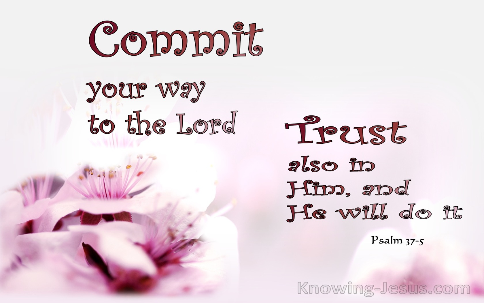 Psalm 37:5 Commit Your Way To The Lord (maroon)